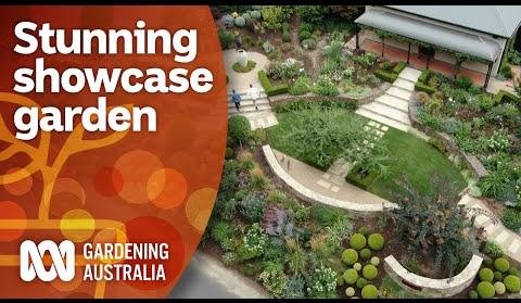 Modern Australian Gardens: Where Nature Meets Contemporary Design